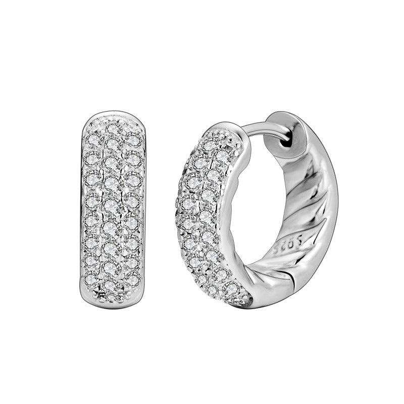 S925 Sterling Silver Earrings Women's Niche Design High-end Zircon Ring
