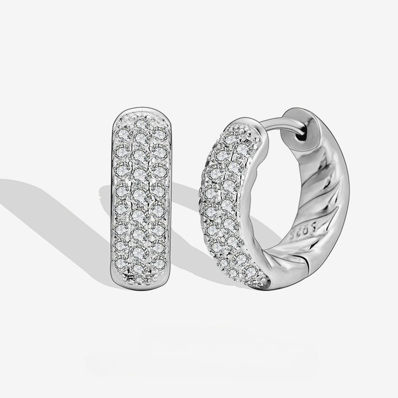 S925 Sterling Silver Earrings Women's Niche Design High-end Zircon Ring