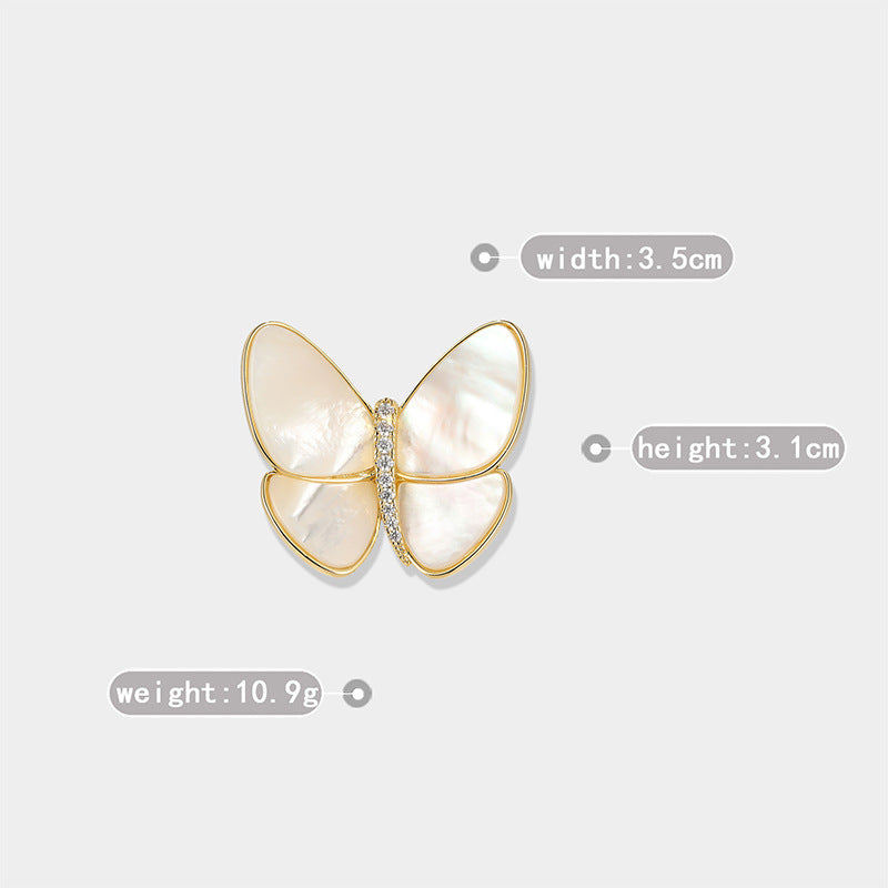 Break The Cocoon Into A Butterfly Natural Shell Butterfly Brooch