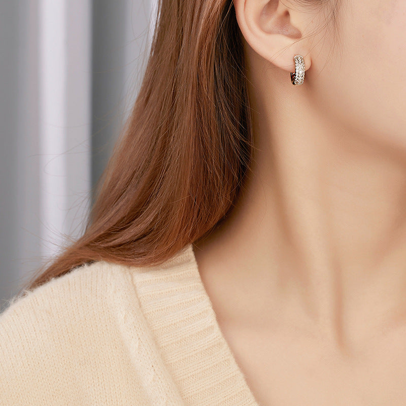 S925 Sterling Silver Earrings Women's Niche Design High-end Zircon Ring